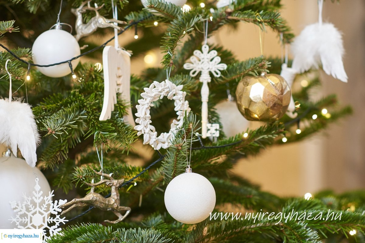 Városi Közgyűlés 20191219