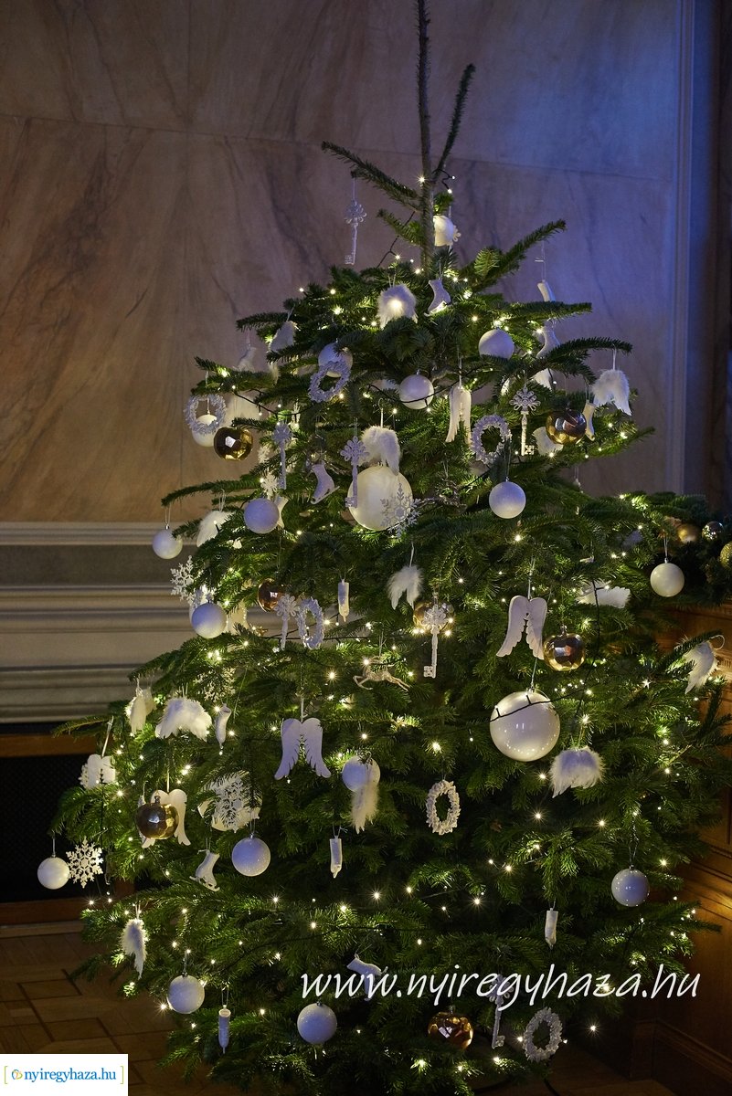 Városi Közgyűlés 20191219