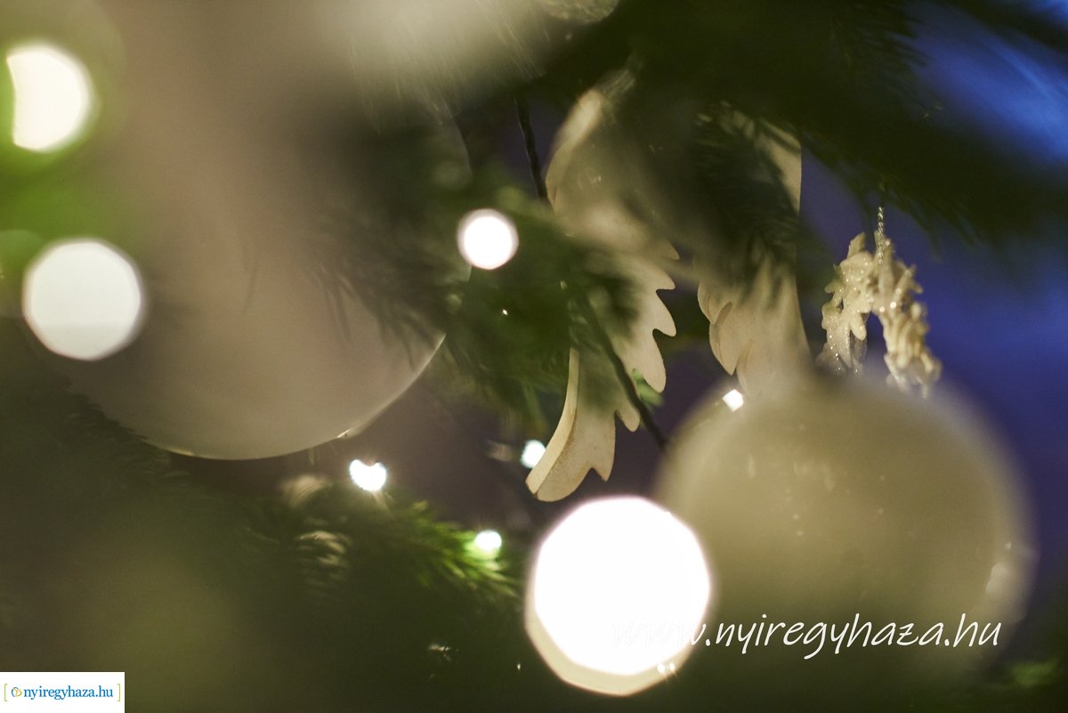 Városi Közgyűlés 20191219