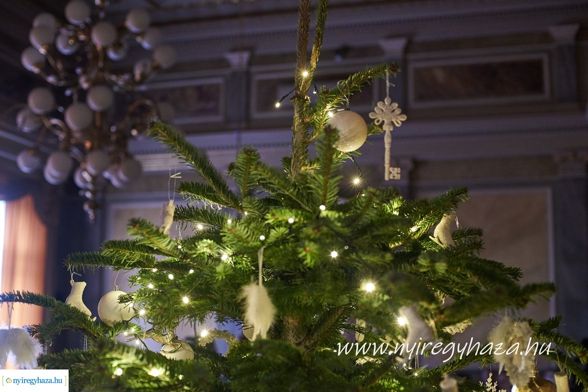 Városi Közgyűlés 20191219