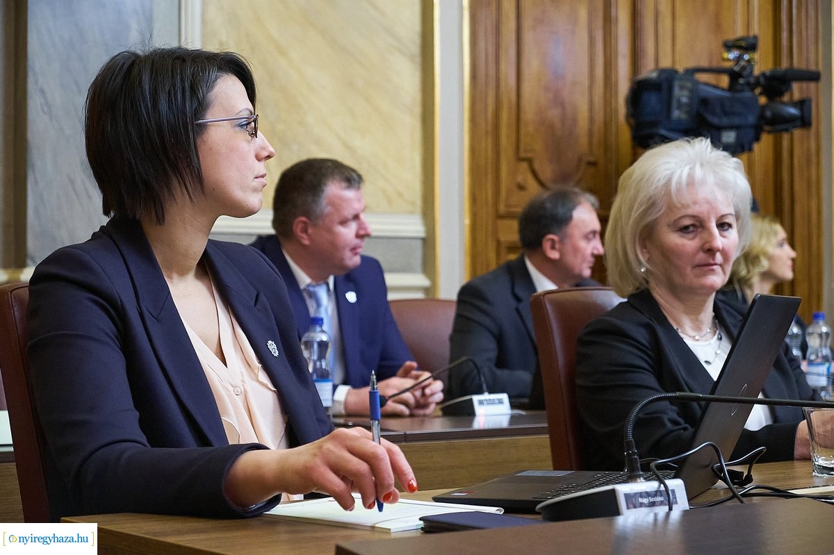 Városi Közgyűlés 20200206