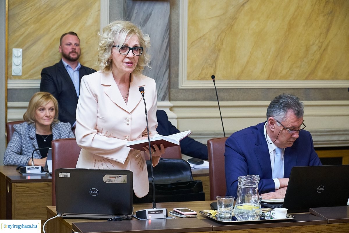 Városi Közgyűlés 20200206