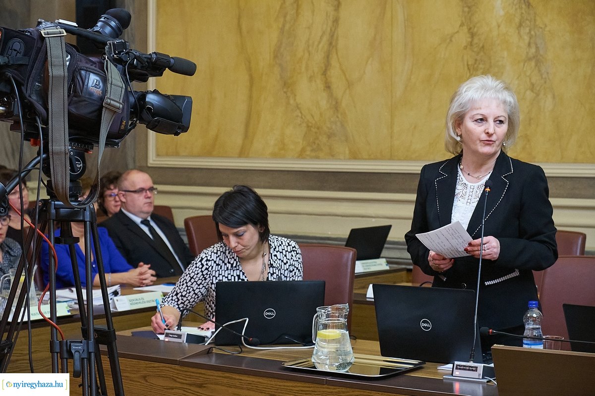 Városi Közgyűlés 20200227