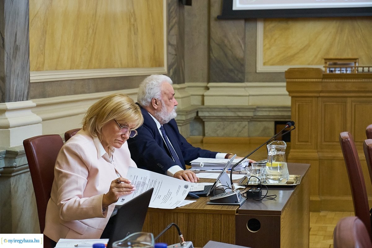 Városi Közgyűlés 20200227