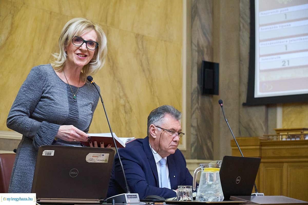 Városi Közgyűlés 20200227