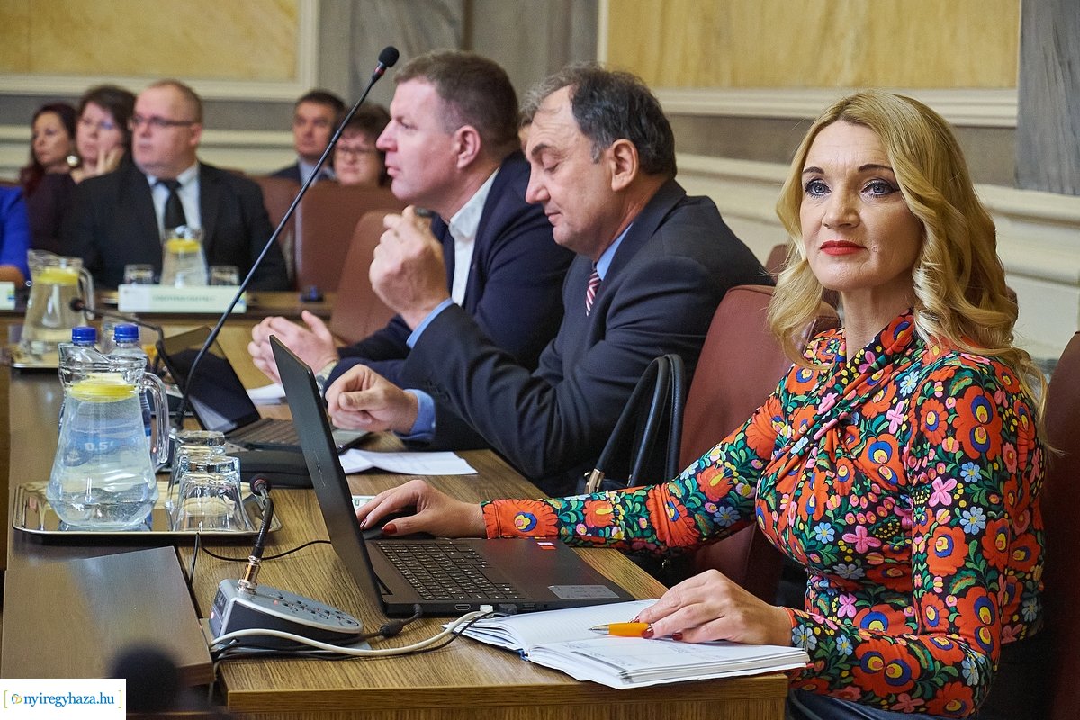 Városi Közgyűlés 20200227