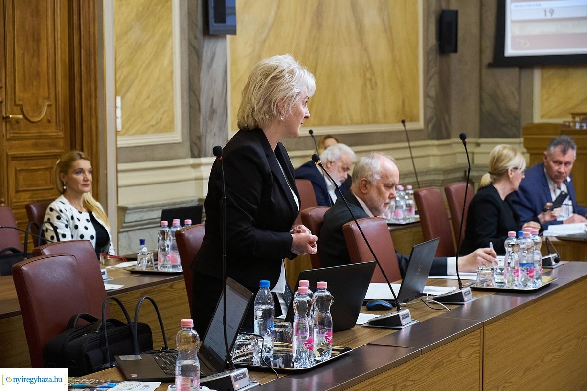 Városi Közgyűlés 20200326