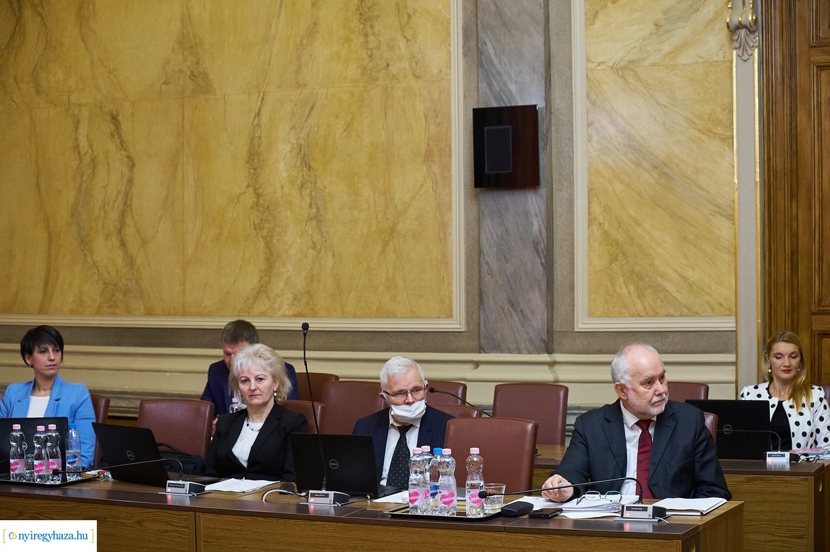 Városi Közgyűlés 20200326