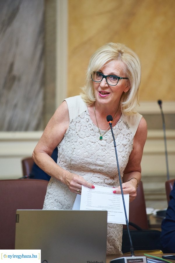 Városi Közgyűlés 20200827