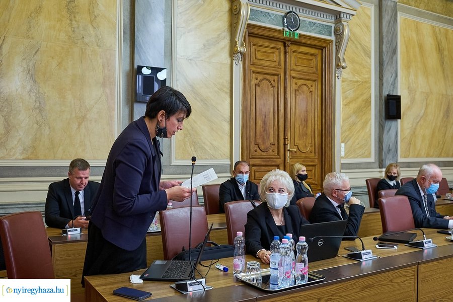 Városi Közgyűlés 20201029