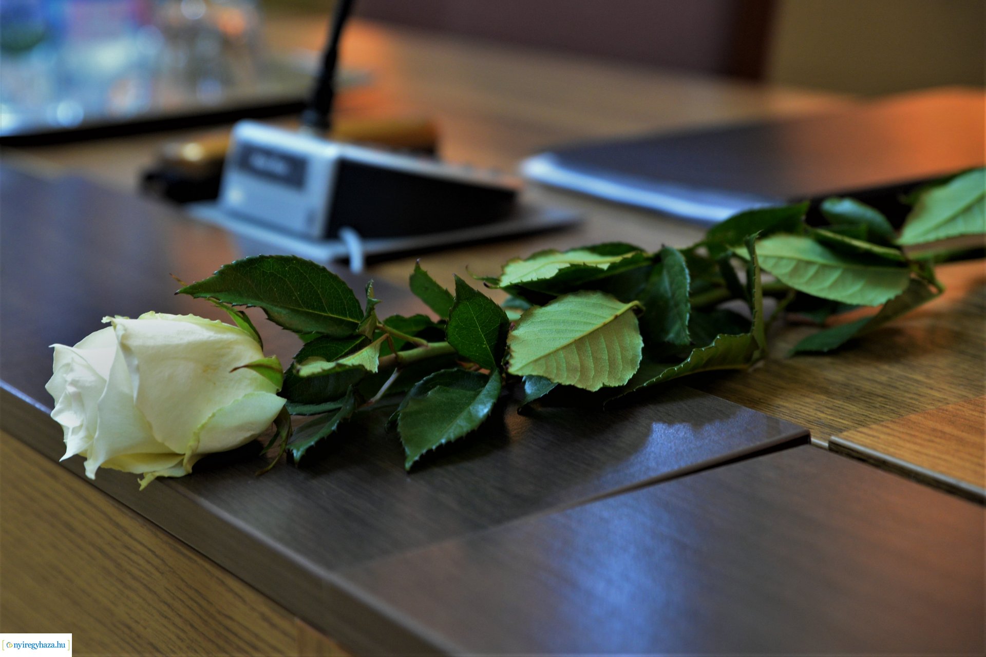 Városi Közgyűlés 2021-06-25