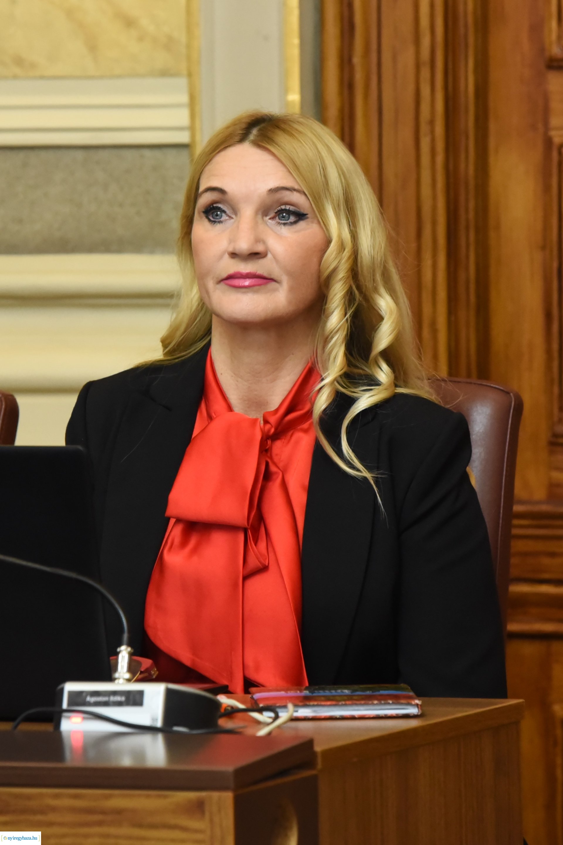 Városi Közgyűlés 2023-11-30