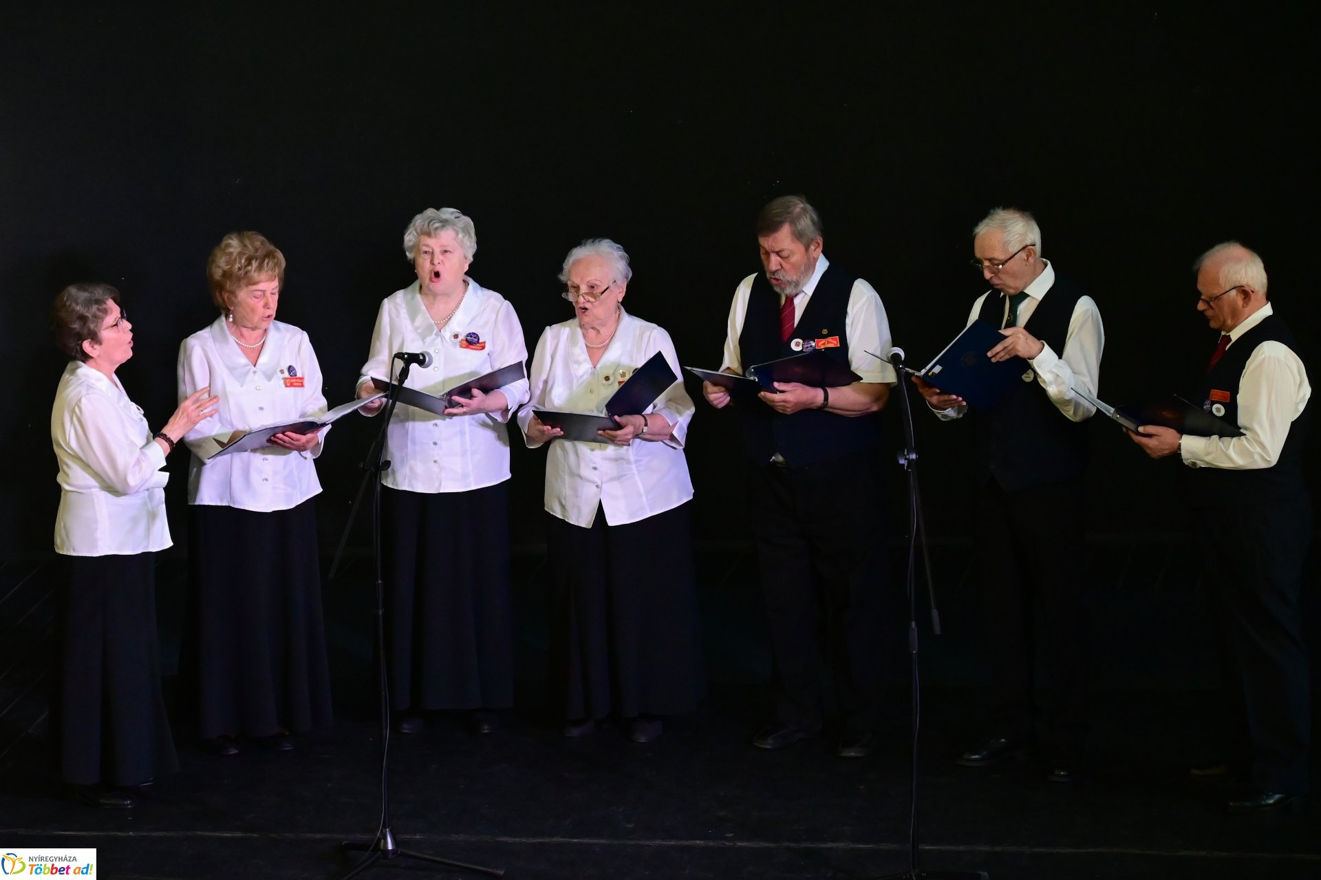 Városi kulturális szemle a Kölyökvárban