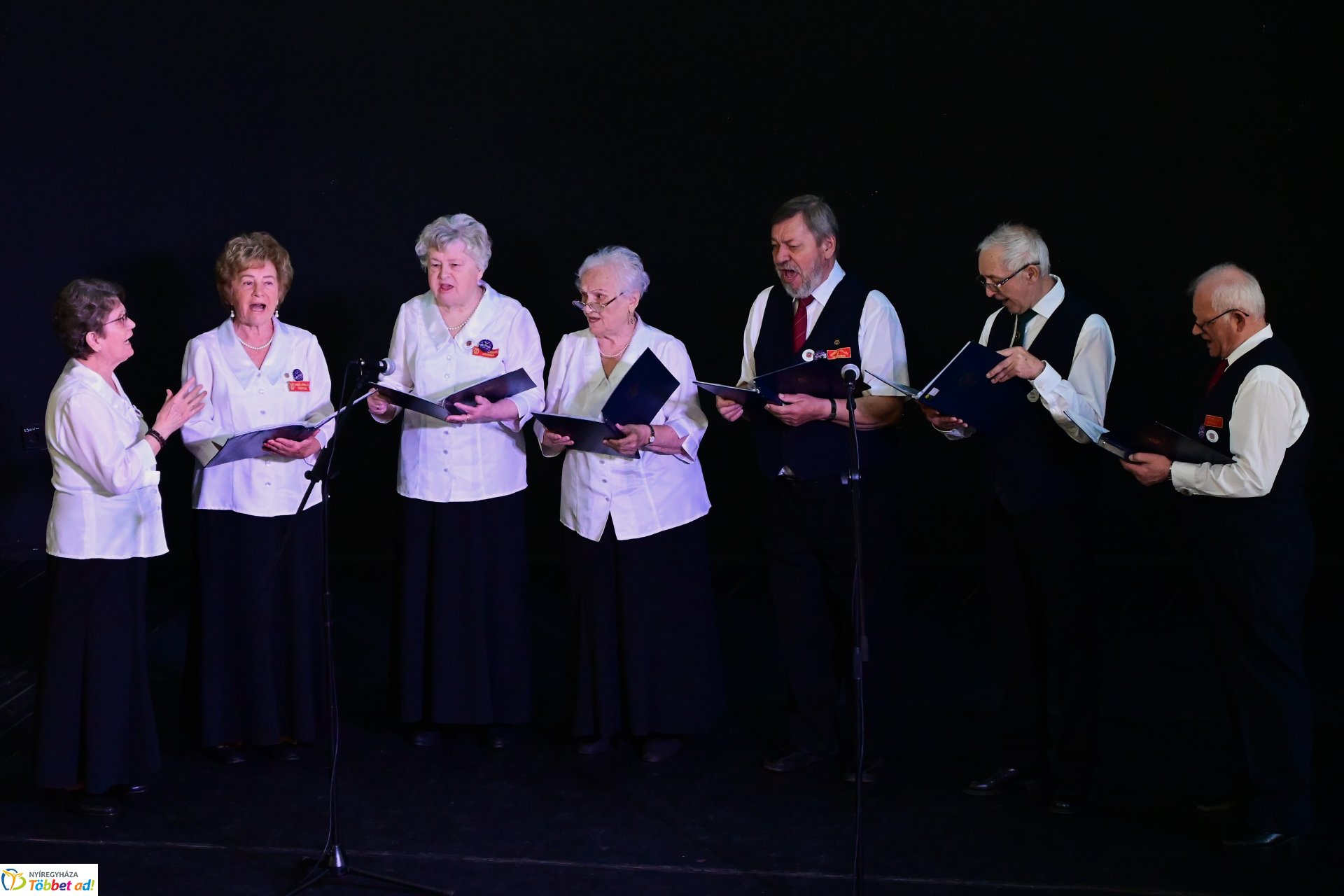 Városi kulturális szemle a Kölyökvárban