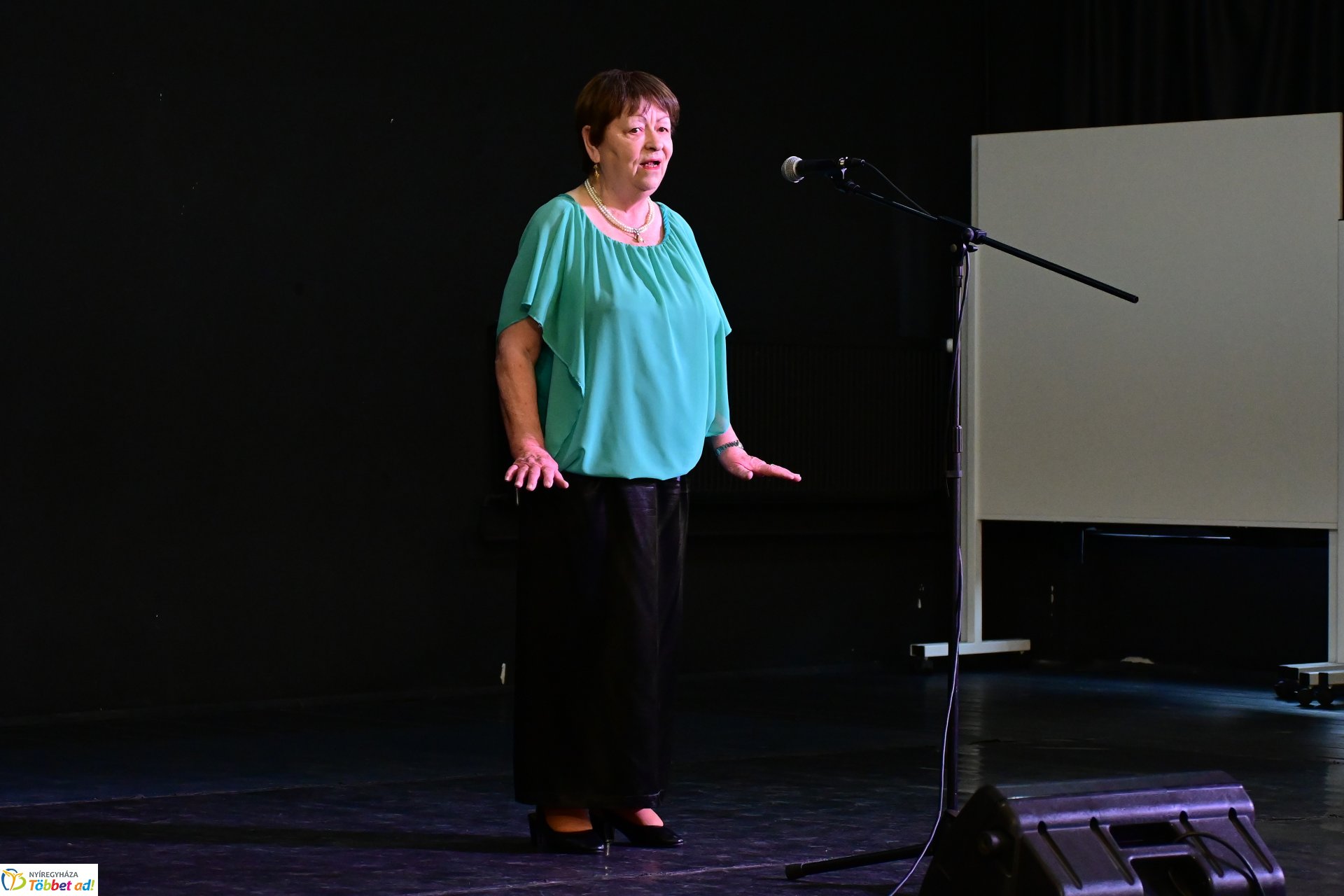 Városi kulturális szemle a Kölyökvárban