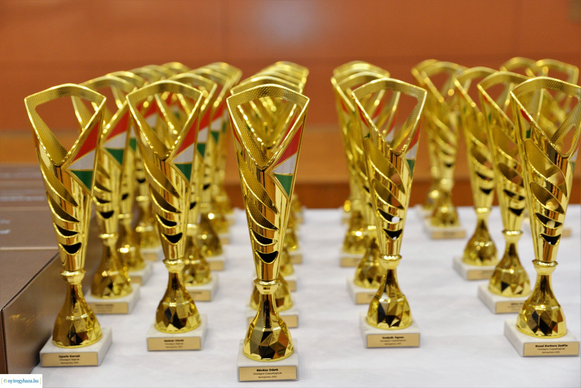 Városi Sportgála - 1