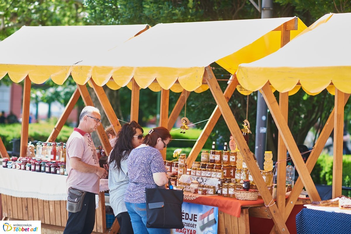 Városnap 2019 délelőtt