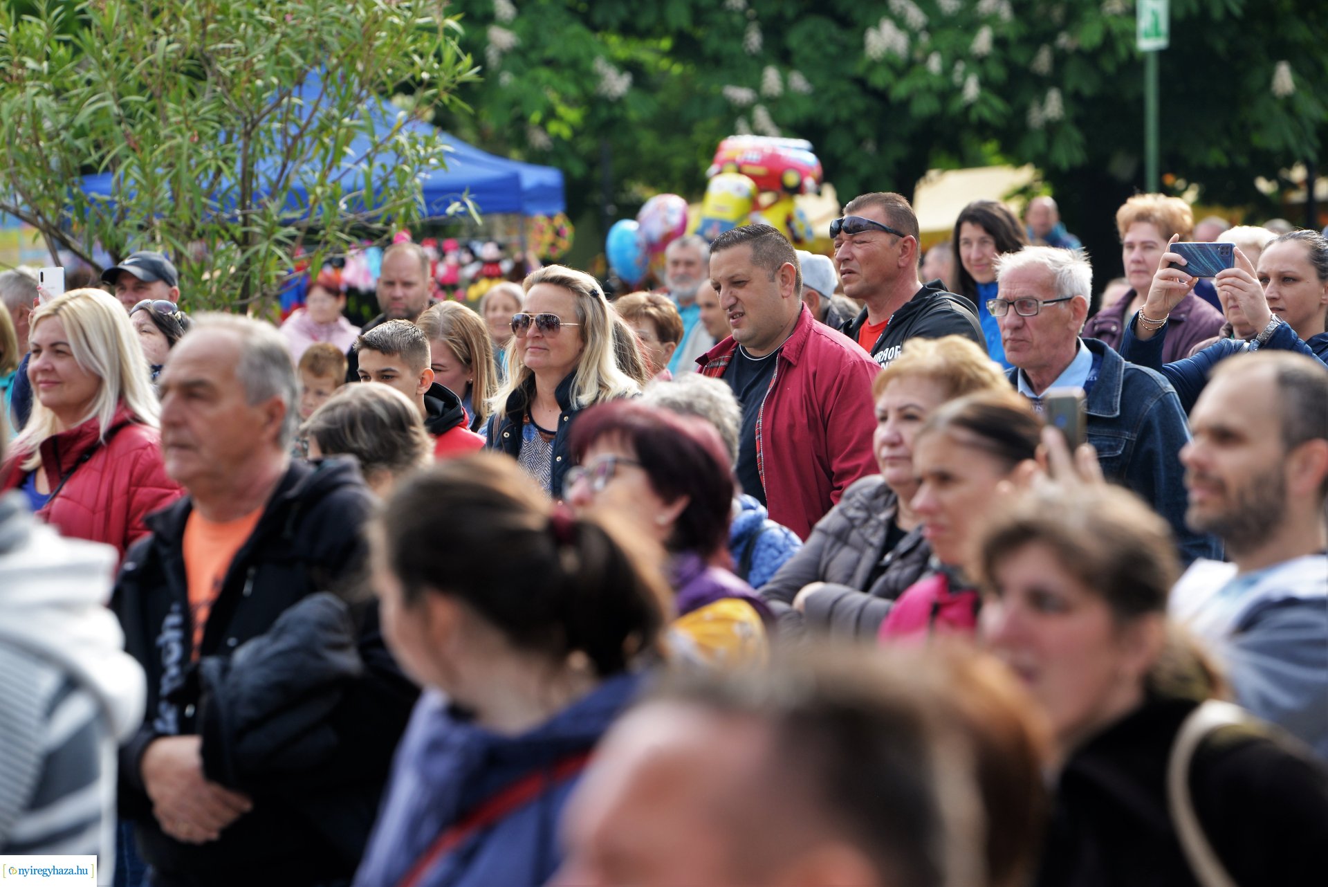 Városnap 2023 - Sipos F. Tamás a színpadon