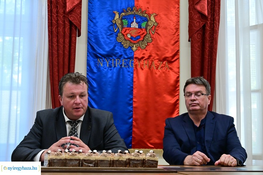 Városnap 2024 tájékoztató