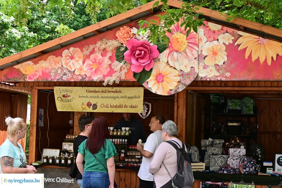 Városnapok 2024 - I