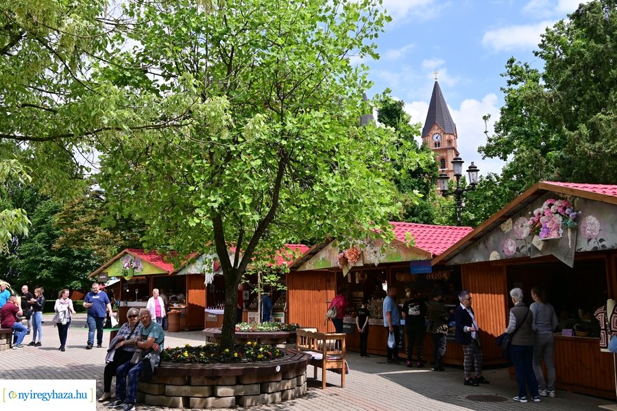 Városnapok 2024 - I