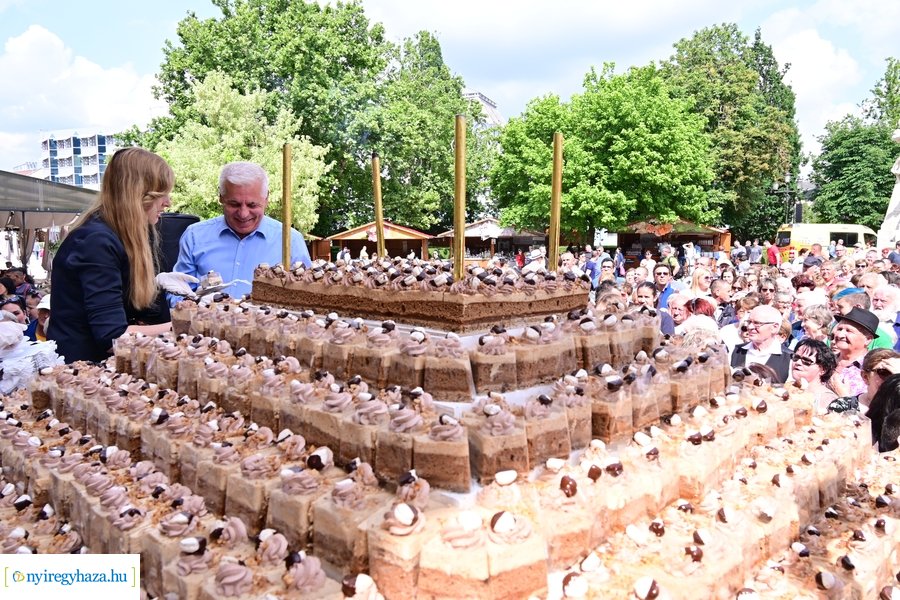 Városnapok 2024 - I