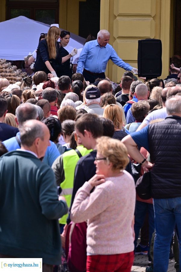 Városnapok 2024 - I