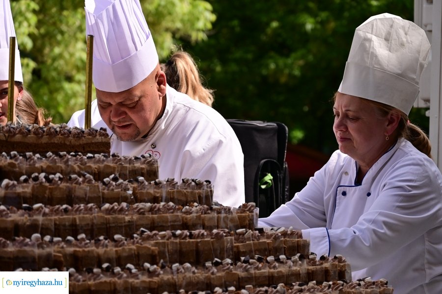 Városnapok 2024 - I