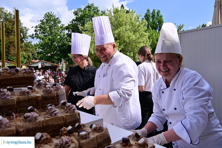 Városnapok 2024 - I