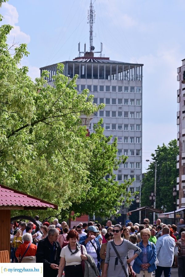 Városnapok 2024 - I