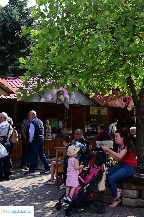 Városnapok 2024 - I