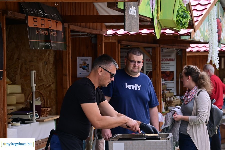 Városnapok 2024 - I