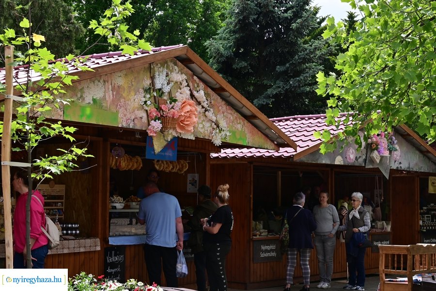 Városnapok 2024 - I