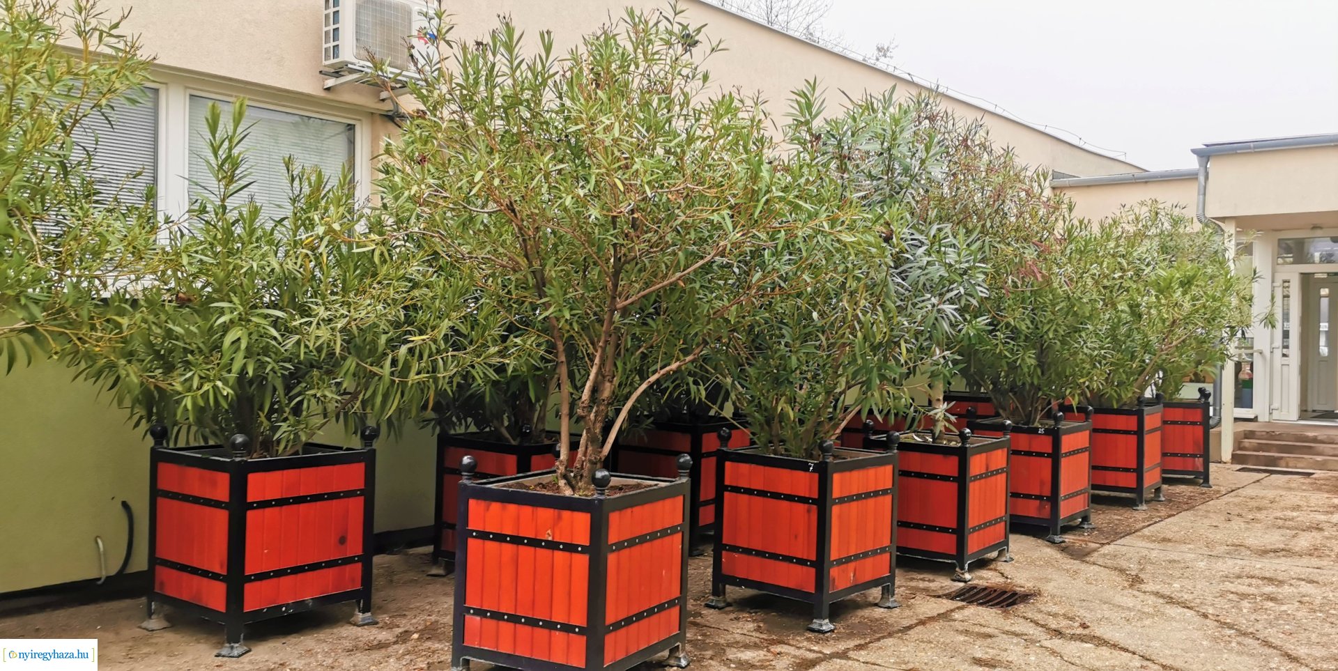 Városunk közterületeinek téliesítése