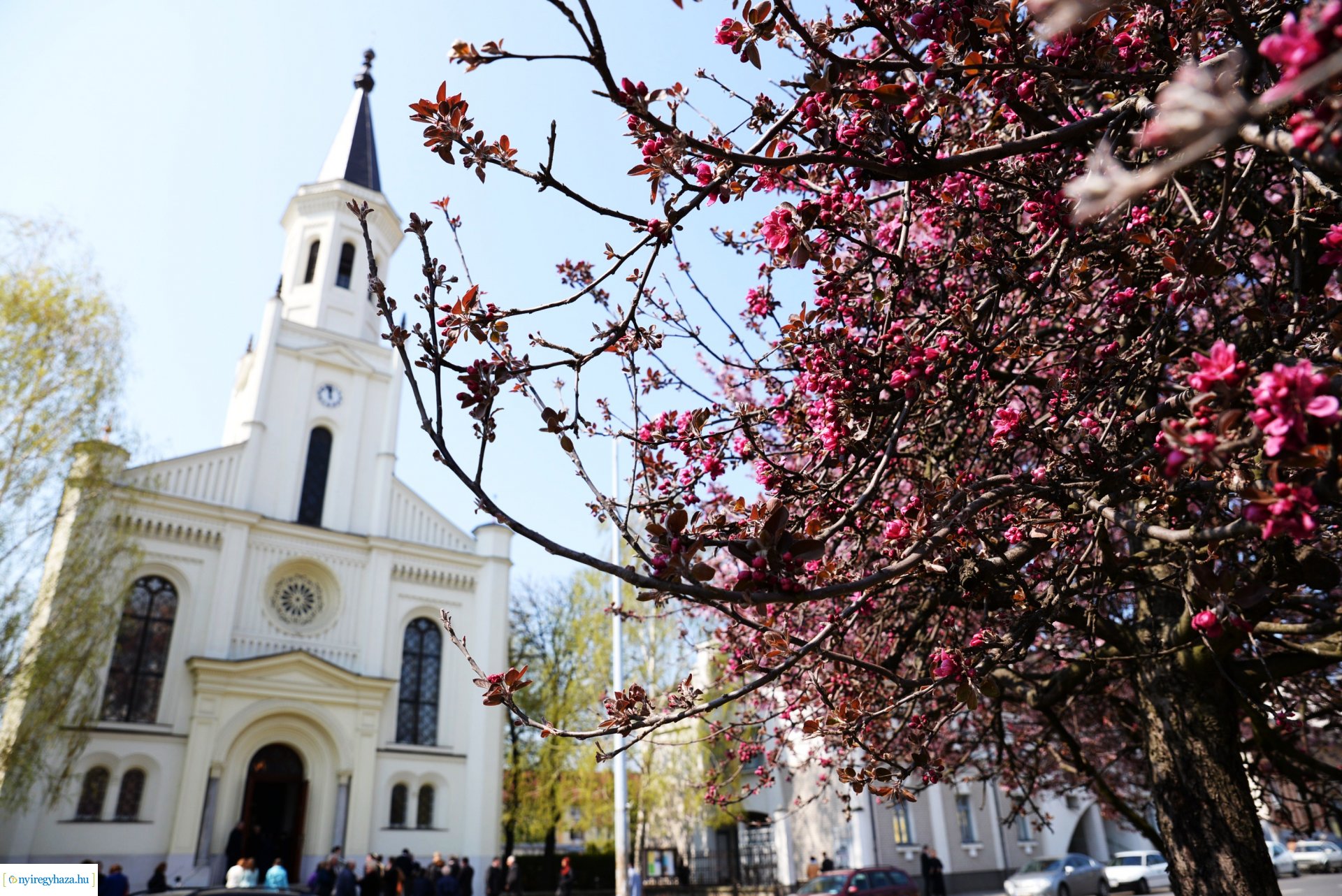 Városunk tavaszi virágai - válogatás fotóarchívumunkból