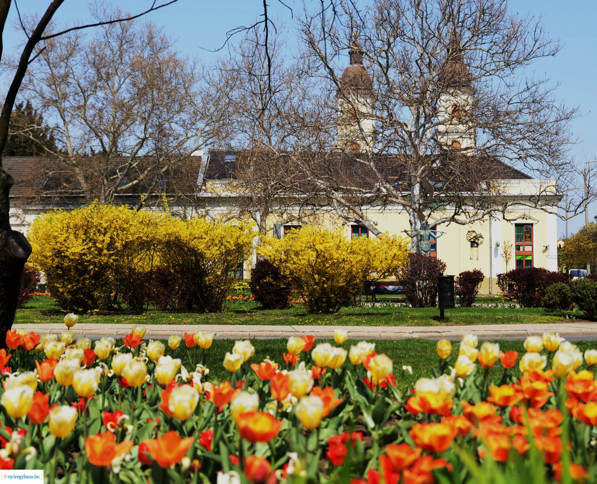 Városunk tavaszi virágai - válogatás fotóarchívumunkból