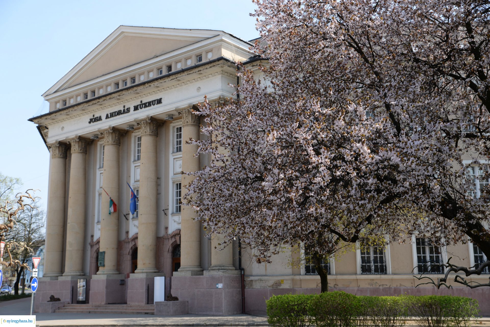 Városunk tavaszi virágai - válogatás fotóarchívumunkból