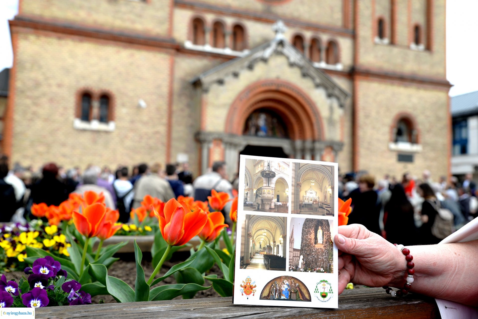 Városunk tavaszi virágai - válogatás fotóarchívumunkból