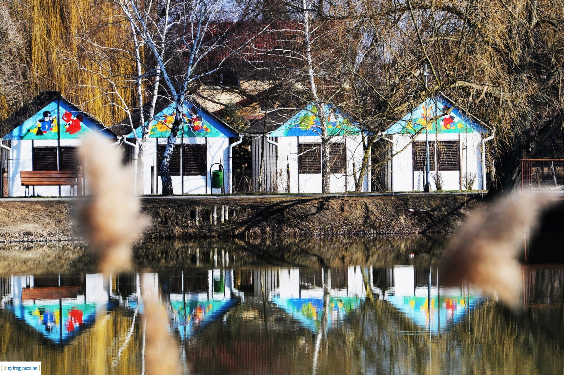 Városunk tavaszi virágai - válogatás fotóarchívumunkból