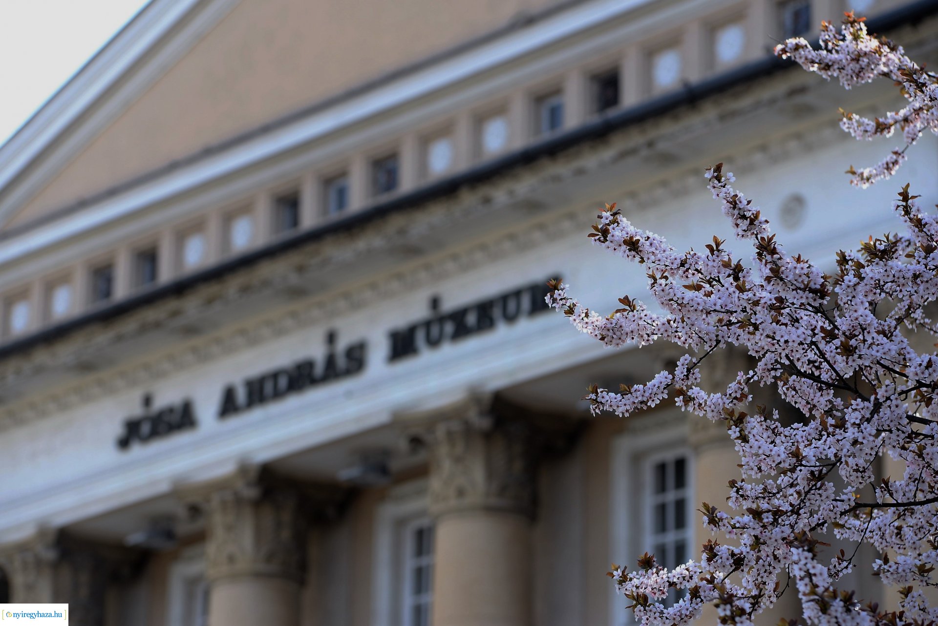 Városunk tavaszi virágai - válogatás fotóarchívumunkból