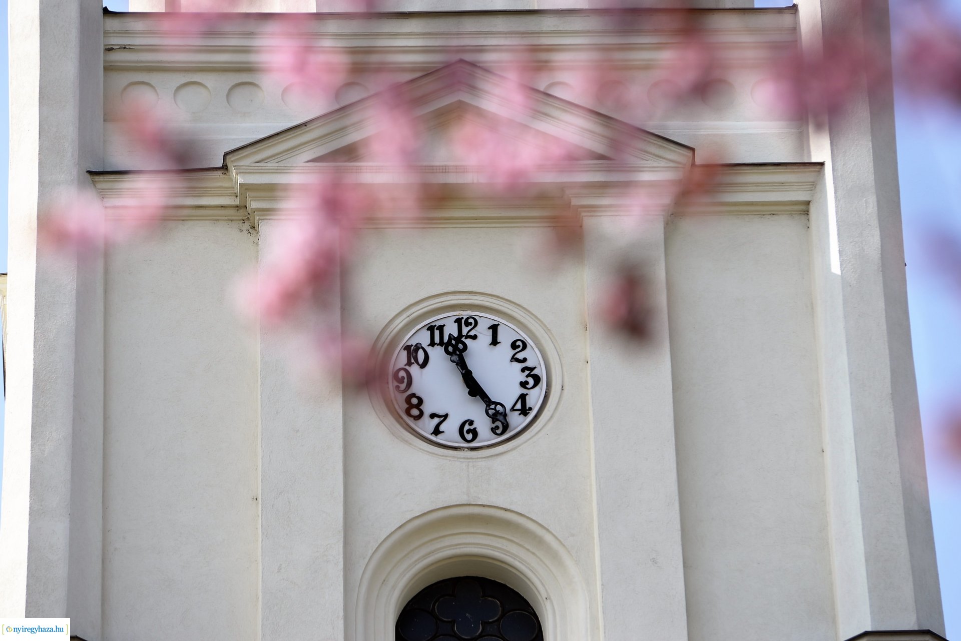 Városunk tavaszi virágai - válogatás fotóarchívumunkból