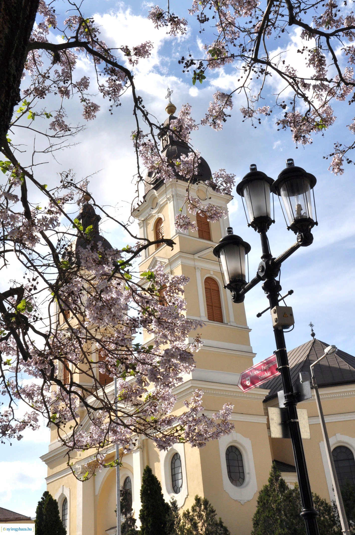 Városunk tavaszi virágai - válogatás fotóarchívumunkból