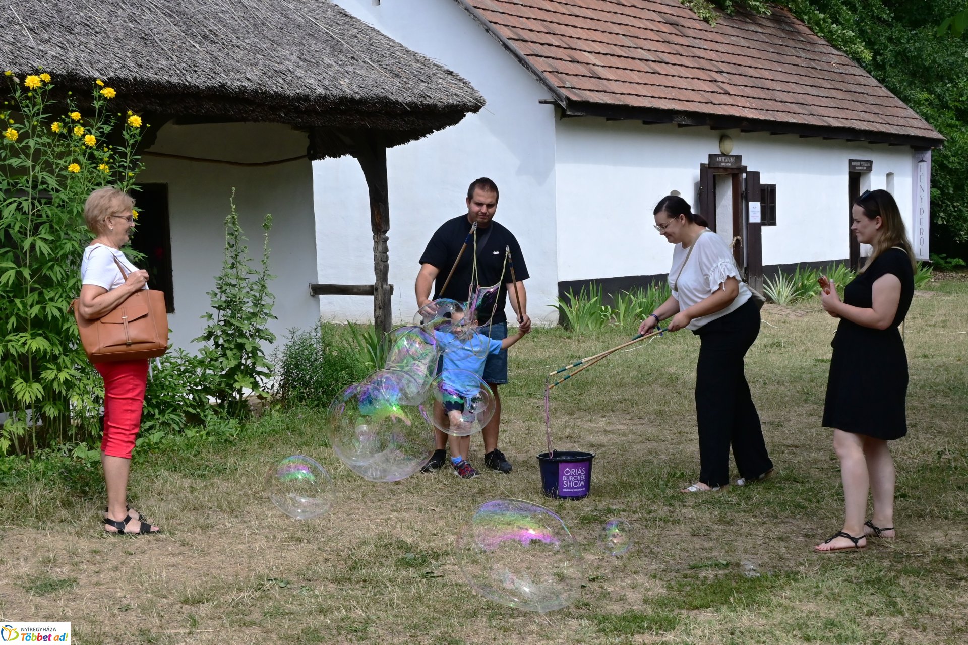 Vasutas napi juliális