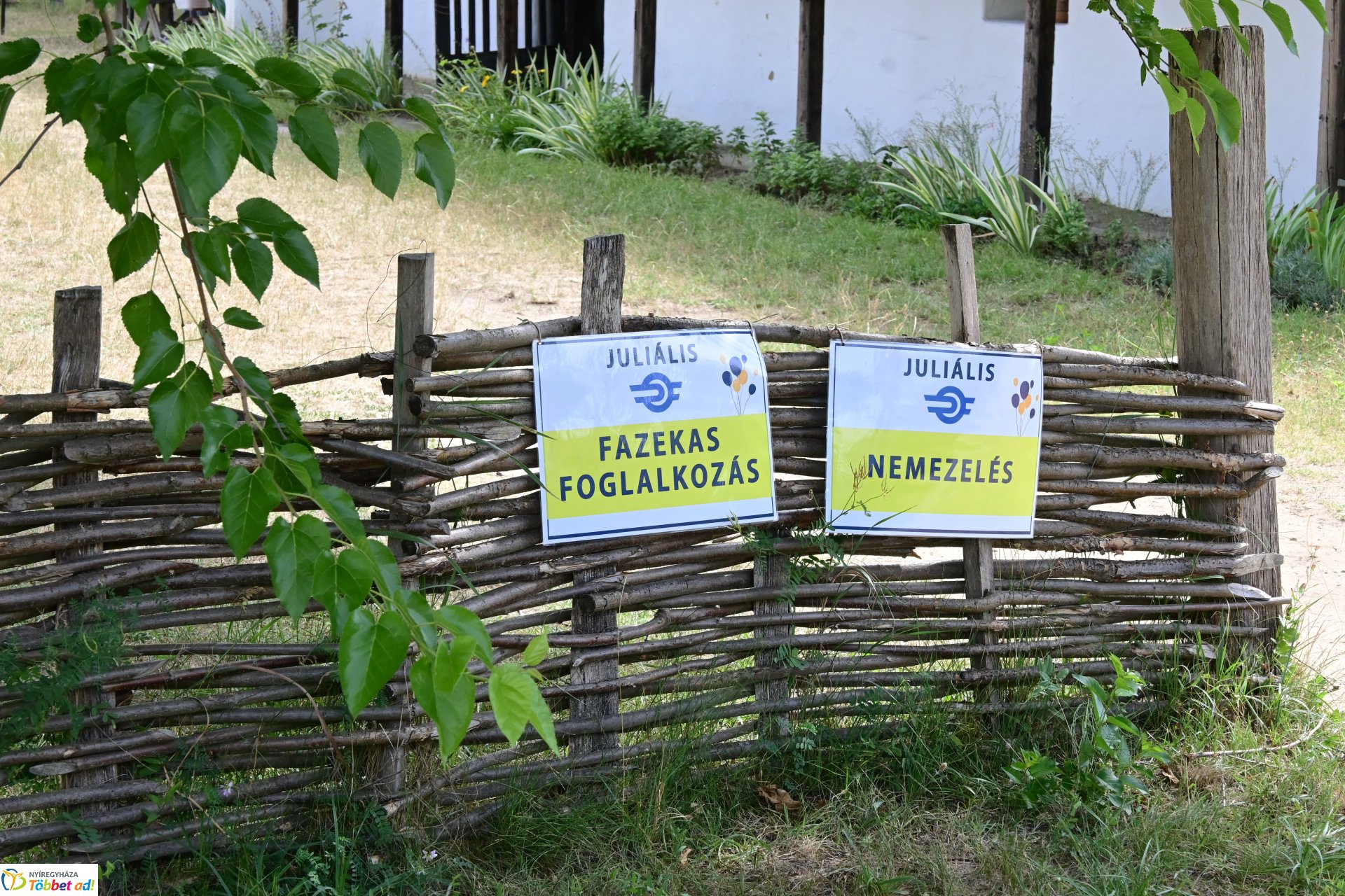 Vasutas napi juliális