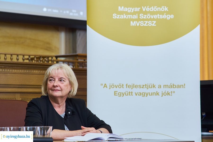 Védőnői szakmaközi workshop a Városházán