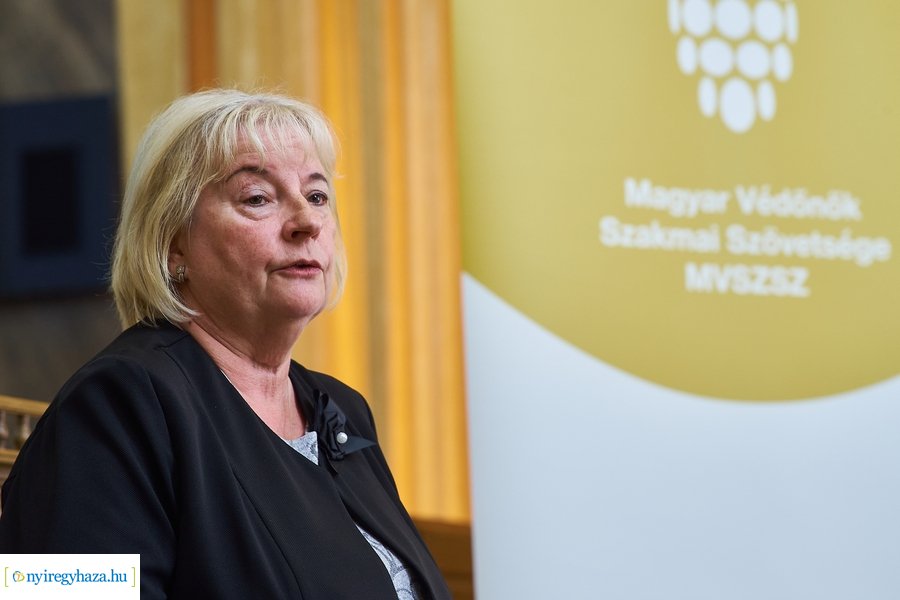 Védőnői szakmaközi workshop a Városházán