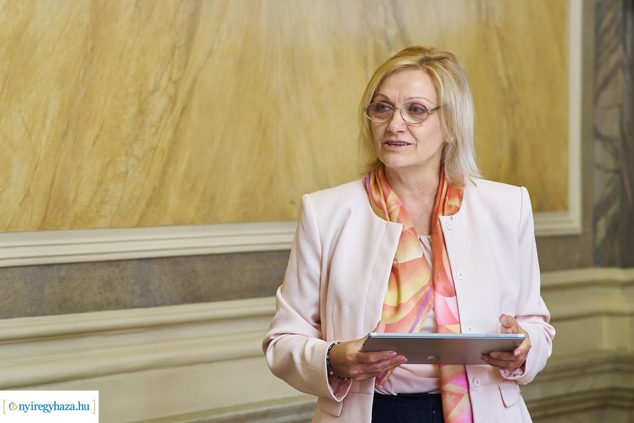 Védőnői szakmaközi workshop a Városházán