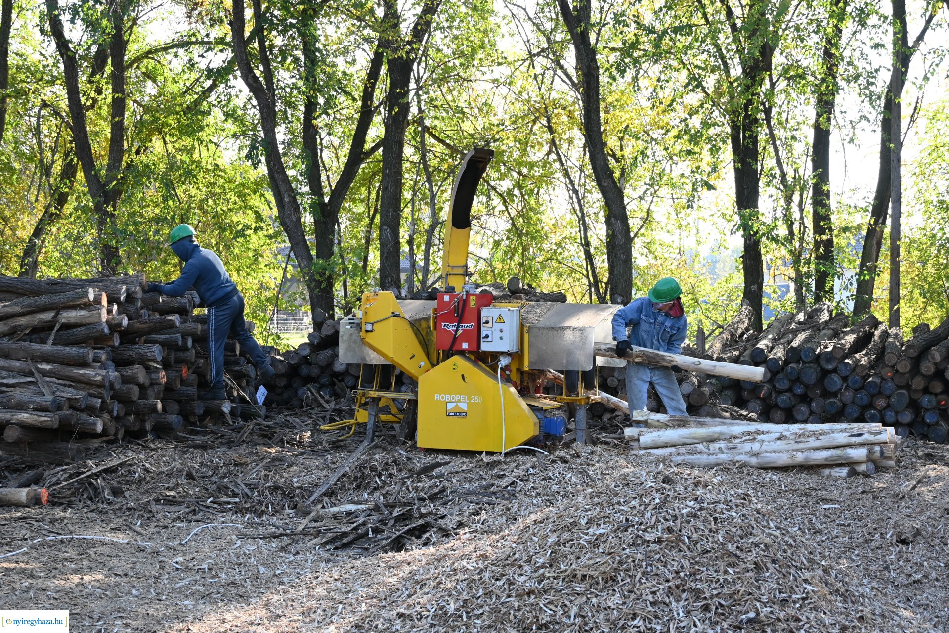 Végzős erdészeti technkiusok látogattak a Nyírerdő Zrt-hez