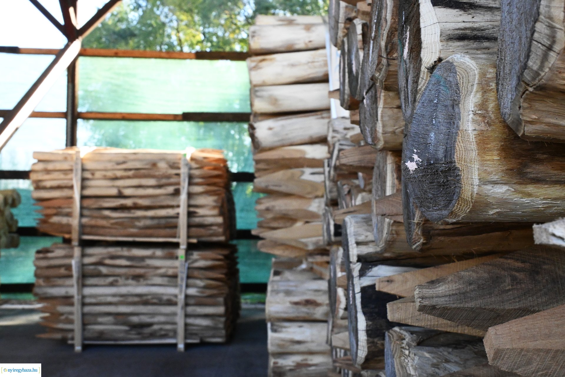 Végzős erdészeti technkiusok látogattak a Nyírerdő Zrt-hez