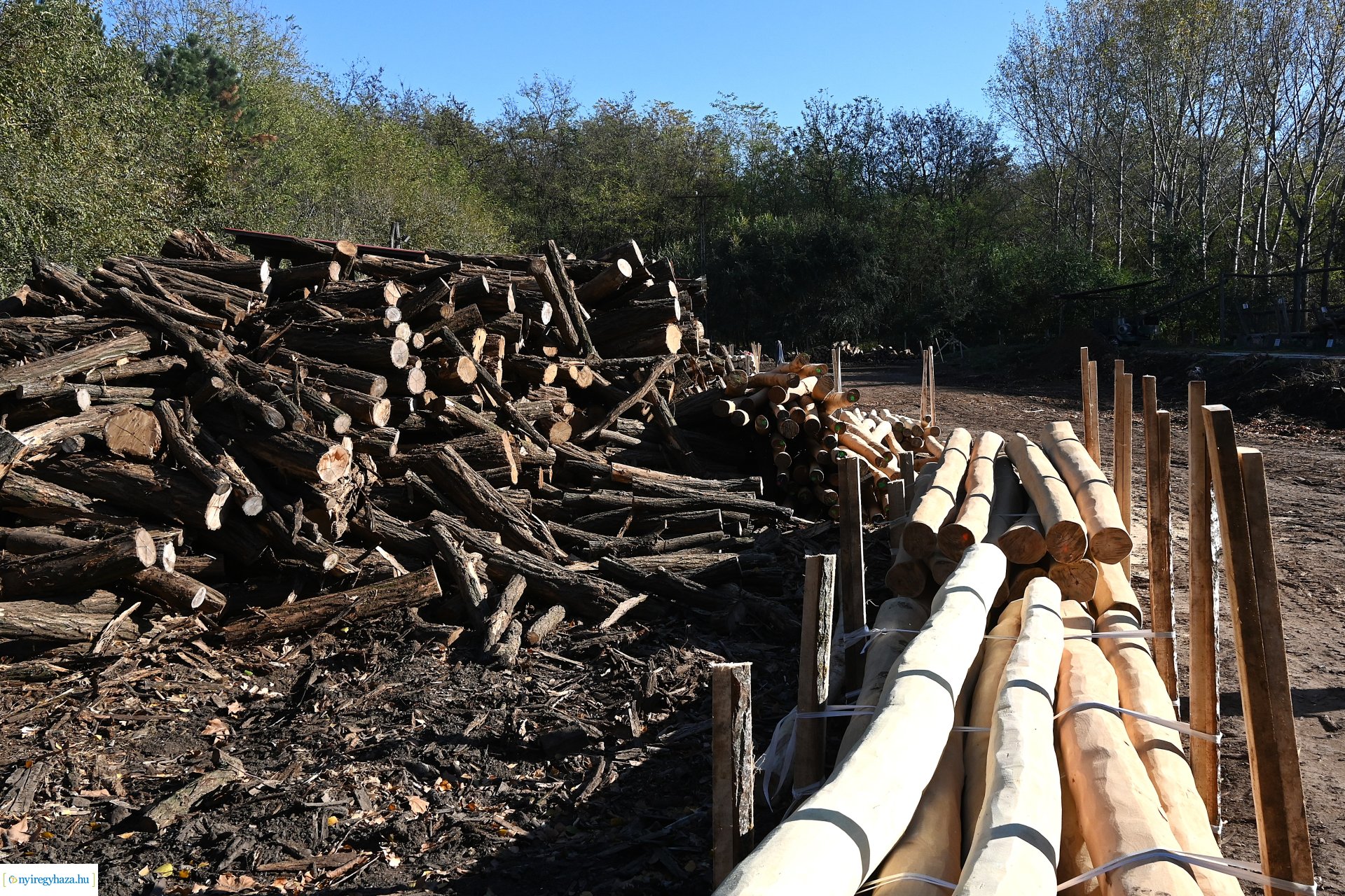 Végzős erdészeti technkiusok látogattak a Nyírerdő Zrt-hez